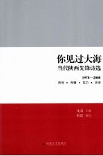 你见过大海  当代陕西先锋诗歌选  1978-2008