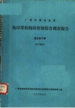 广西壮族自治区海岸带和海涂资源综合调查报告  第5卷下  矿产部分