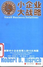 小企业大战略  破解中小企业经理人的13大难题