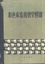 彩色家畜组织学图谱