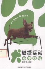 犬敏捷运动基本教程