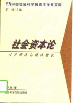 社会资本论  社会资本与经济增长