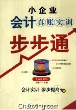 小企业会计真账实训步步通  实战详解版