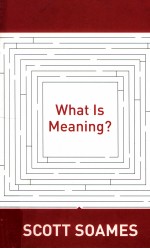 WHAT IS MEANING?