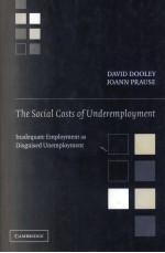 THE SOCIAL COSTS OF UNDEREMPLOYMENT