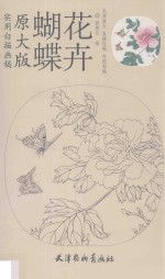 实用白描画稿  蝴蝶花卉