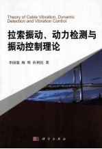 拉索振动、动力检测与振动控制理论