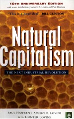 NATURAL CAPITALISM:THE NEXT INDUSTRIAL REVOLUTION 10TH ANNIVERSARY EDITION