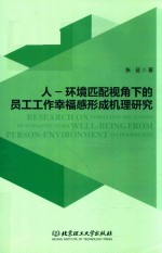 人-环境匹配视角下的员工工作幸福感形成机理研究