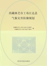 西藏林芝市工布江达县气象灾害防御规划