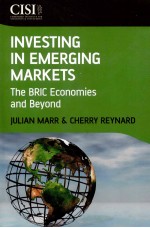 INVESTING IN EMERGING MARKETS THE BRIC ECONOMIES AND BEYOND