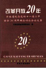 改革开放20年  云南省纪念党的十一届三中全会二十周年理论讨论会论文集