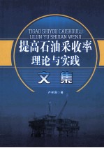 提高石油采收率理论与实践文集