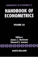 HANDBOOK OF ECONOMETRICS:VOLUME 6A