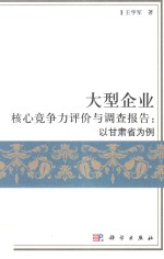 大型企业核心竞争力评价与调查报告  以甘肃省为例