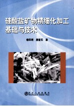 硅酸盐矿物精细化加工基础与技术