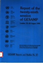 REPORT OF THE TWENTY-NINTH SESSION OF GESAMP LONDON