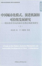 中国城市化模式、演进机制和可持续发展研究  转向效率导向的城市化理论和政策研究  上