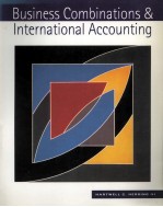 BUSINESS COMBINMATIONS&INTERNATIONAL ACCOUNTING