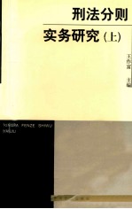 刑法分则实务研究  上