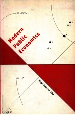 MODERN PUBLIC ECONOMICS