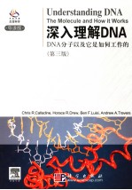 深入理解DNA