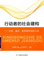 行动者的社会建构  自我、他者、组织和环境的互动