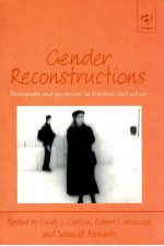 GENDER RECONSTRUCTIONS PORNOGRAPHY AND PERVERSIONS IN LITERATURE AND CULTURE