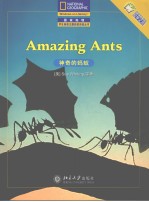 AMAZING ANTS