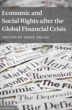 ECONOMIC AND SOCIAL RIGHTS AFTER THE GLOBAL FINANCIAL CRISIS