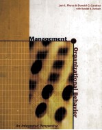 Management And Organizational Behavior An Integrated Perspective