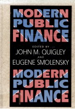 MODERN PUBLIC FINANCE