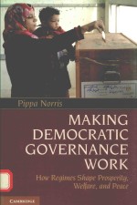 Making democratic governance work