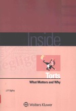 Inside torts what matters and why