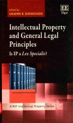 Intellectual property and general legal principles