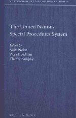 The United Nations special procedures system