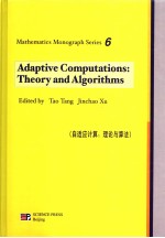 ADAPTIVE COMPUTATIONS：THEORY AND ALGORITHMS