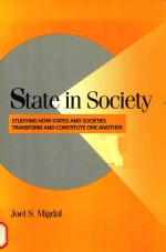 State in society