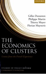 THE ECONOMICS OF CLUSTERS:LESSONS FROM THE FRENCH EXPERIENCE