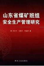 山东省煤矿班组安全生产管理研究