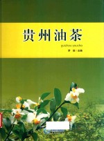 贵州油茶