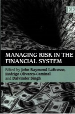 MANAGING RISK IN THE FIBANCIAL SYSTEM