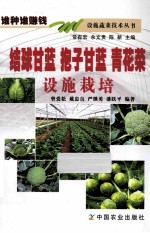 结球甘蓝  抱子甘蓝  青花菜设施栽培