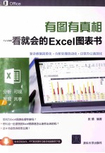 有图有真相  一看就会的Excel图表书