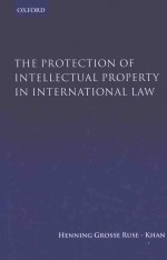 The Protection of intellectual property in international law