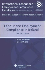 Labour and employment compliance in Ireland