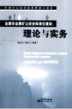 金属非金属矿山安全标准化建设  理论与实务