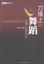 刀锋上的舞蹈  中国产业经济15年