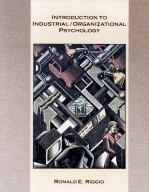 INTRODUCTION TO INDUSTRIAL ORGANIZATIONAL PSYCHOLOGY