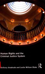 Human rights and the criminal justice system